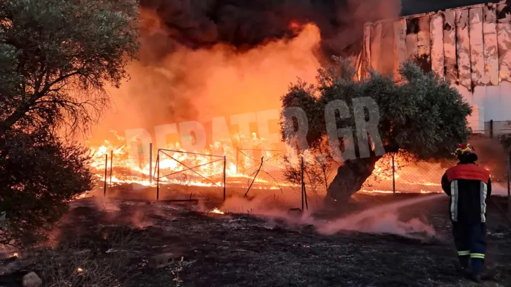 Φωτιά στα Μέγαρα: Συγκλονιστικές φωτογραφίες και βίντεο από τη μάχη πυροσβεστών και εθελοντών