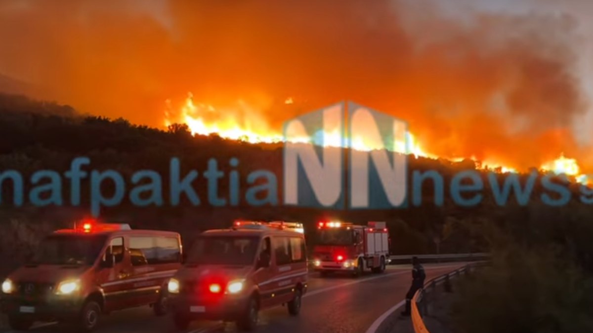 Καλύτερη εικόνα για την φωτιά στην Παλαιοπαναγιά Ναυπάκτου – Επιστρέφουν στα σπίτια τους οι κάτοικοι, σε επιφυλακή η πυροσβεστική (Βίντεο)