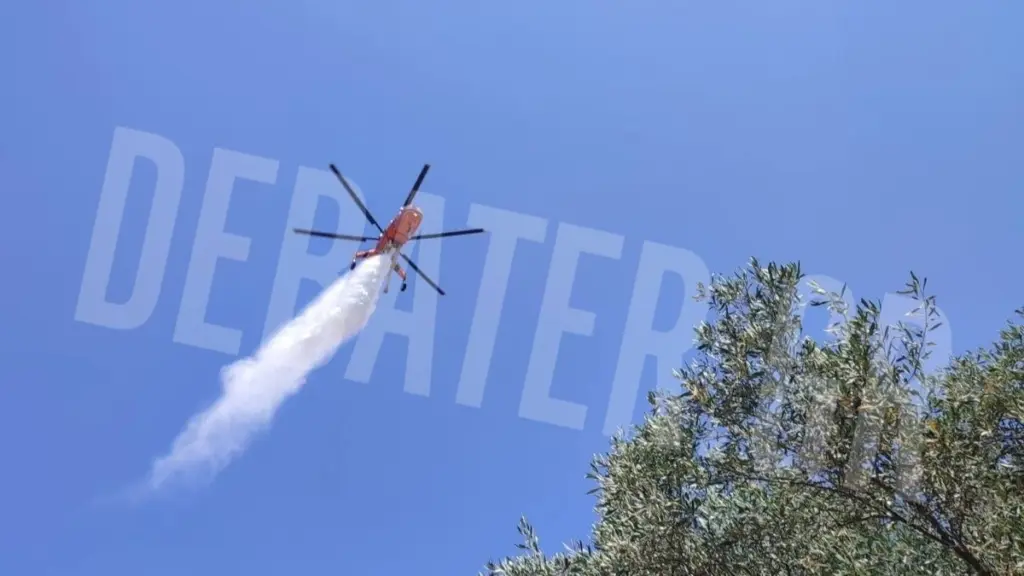 Φωτιά σε υπαίθριο χώρο κοντά στο Σισμανόγλειο – Περιορίστηκε το μέτωπο(Εικόνες)