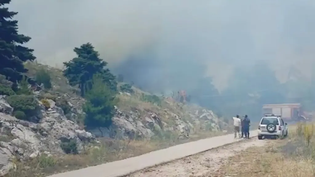 Φωτιά στα Βίλια Αττικής – Σηκώθηκαν δύο Canadair και δύο ελικόπτερα (βίντεο)