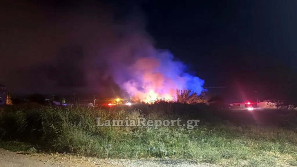 Λαμία: Αναστάτωση τη νύχτα λόγω φωτιάς κοντά σε σπίτια (βίντεο)
