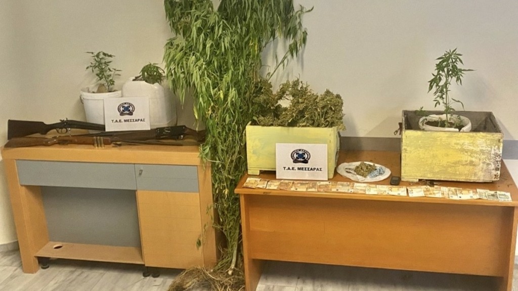Ηράκλειο: Πατέρας και γιος καλλιεργούσαν χασίς και το έκρυβαν σε μελίσσια