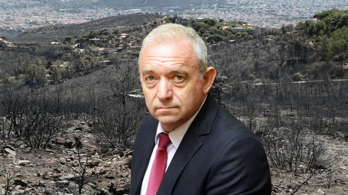 Ευθύμιος Λέκκας: Δεν έχουμε την πολυτέλεια να χάσουμε ούτε ένα δέντρο στην Αττική, έχει χαθεί το 70% του δασικού ιστού