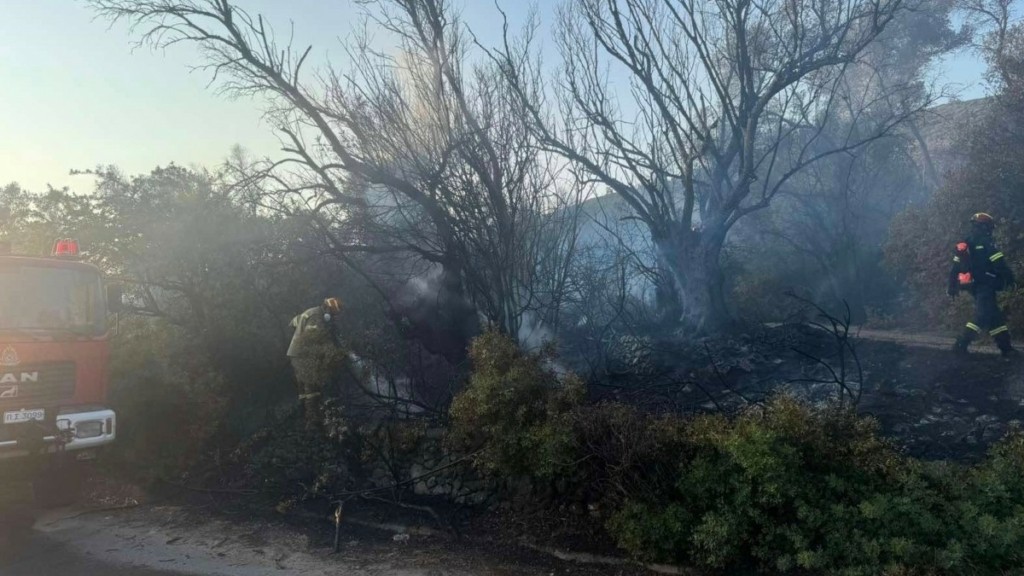 Φωτιά σε αγροτοδασική έκταση στο Πυργί της Λέσβου – Ήχησε το 112 (Βίντεο)
