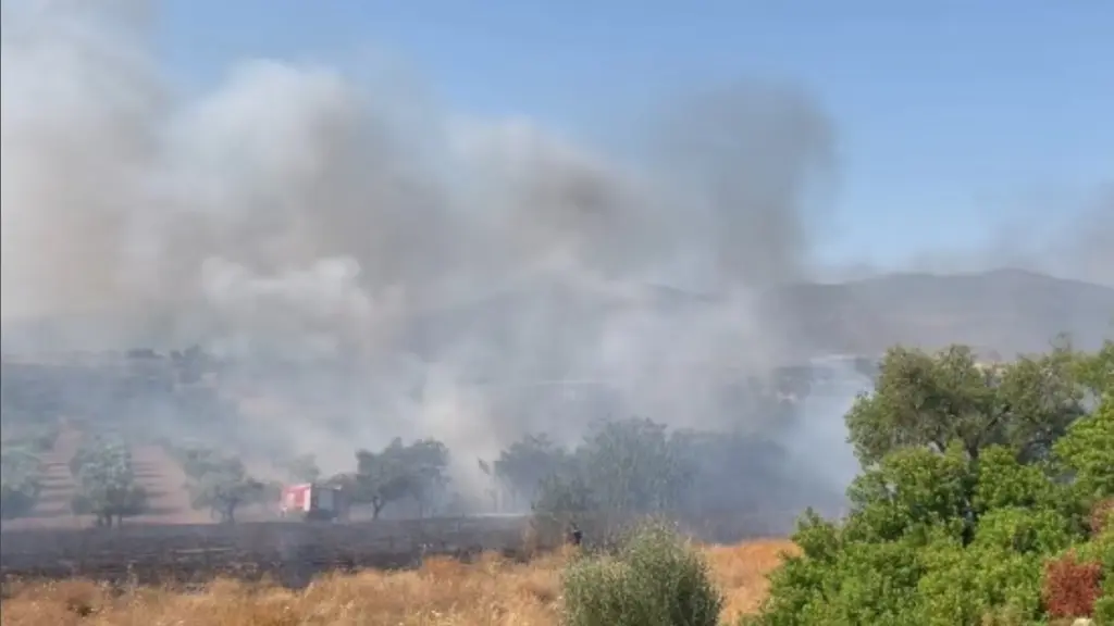 Φωτιά σε οικοπεδικούς χώρους στα Μέγαρα (Βίντεο)
