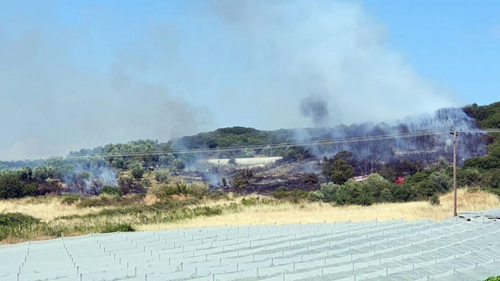 Φωτιά σε αγροτοδασική έκταση στη Νέα Πέραμο Καβάλας – Επιχειρούν 3 εναέρια μέσα