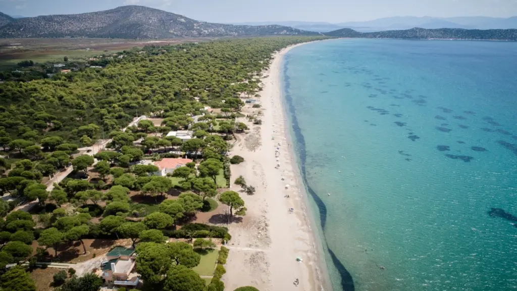 Σχινιάς: Κατεπείγουσα εισαγγελική έρευνα για παράνομες κατασκευές στο πάρκο
