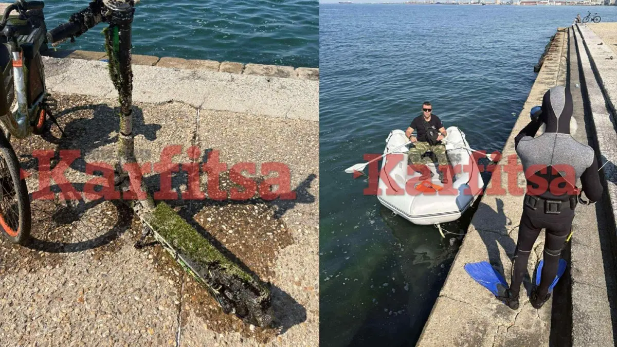 Θεσσαλονίκη: H “ψαριά” των εθελοντών δυτών από τον βυθό του Θερμαϊκού (Εικόνες + Βίντεο)