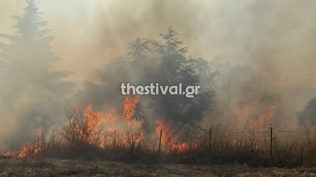 Φωτιά σε χορτολιβαδική έκταση στη Θέρμη Θεσσαλονίκης – Καίει κοντά στο Διαβαλκανικό Κέντρο (Βίντεο)