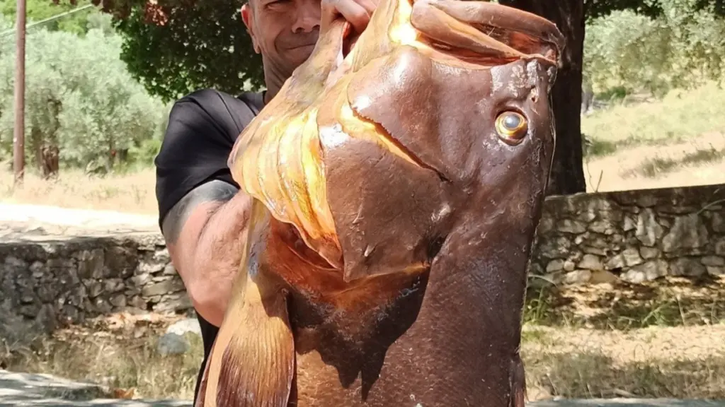 Βόλος: Ψαροντουφεκάς έπιασε θηριώδη ροφό 27 κιλών (Φωτογραφία)