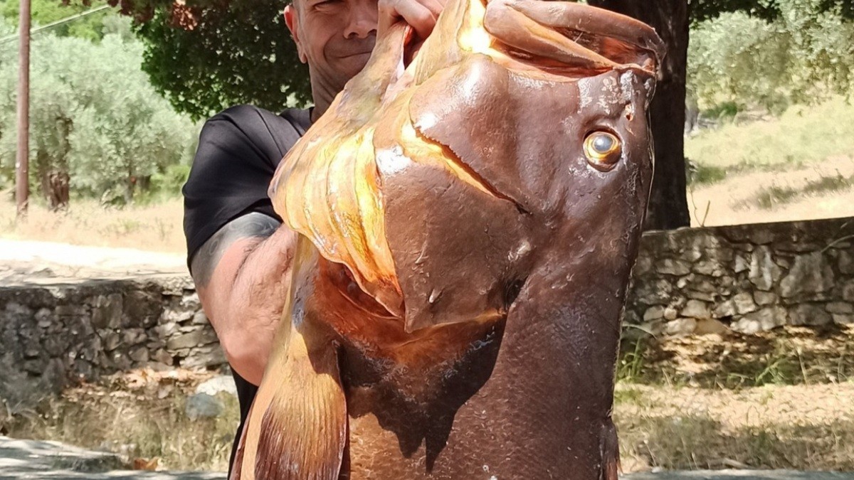 Βόλος