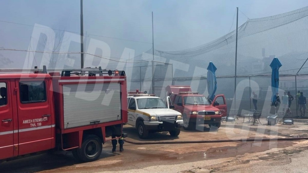 Υπό μερικό έλεγχο η φωτιά στο Κάτω Χαλάνδρι – Δείτε φωτογραφίες από το σημείο