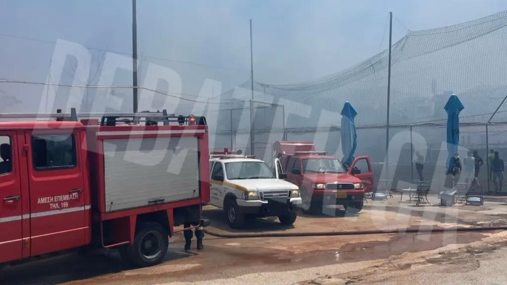 Υπό μερικό έλεγχο η φωτιά στο Κάτω Χαλάνδρι – Δείτε φωτογραφίες από το σημείο