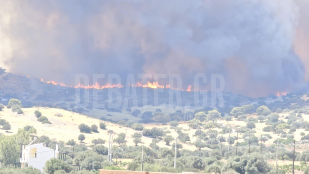 Δραματικές ώρες στην Νέα Φώκαια – Καίγονται σπίτια, μηνύματα του 112 για εκκενώσεις (Εικόνες + Βίντεο)