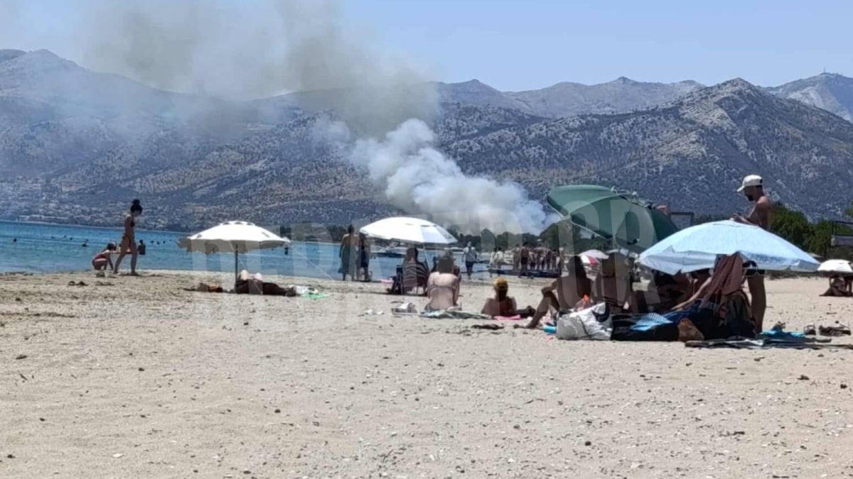 Καλύτερη η εικόνα της φωτιάς στον Μαραθώνα, κινδύνευσαν σπίτια – Ήχησε το 112 για τον οικισμό Ριζάρι
