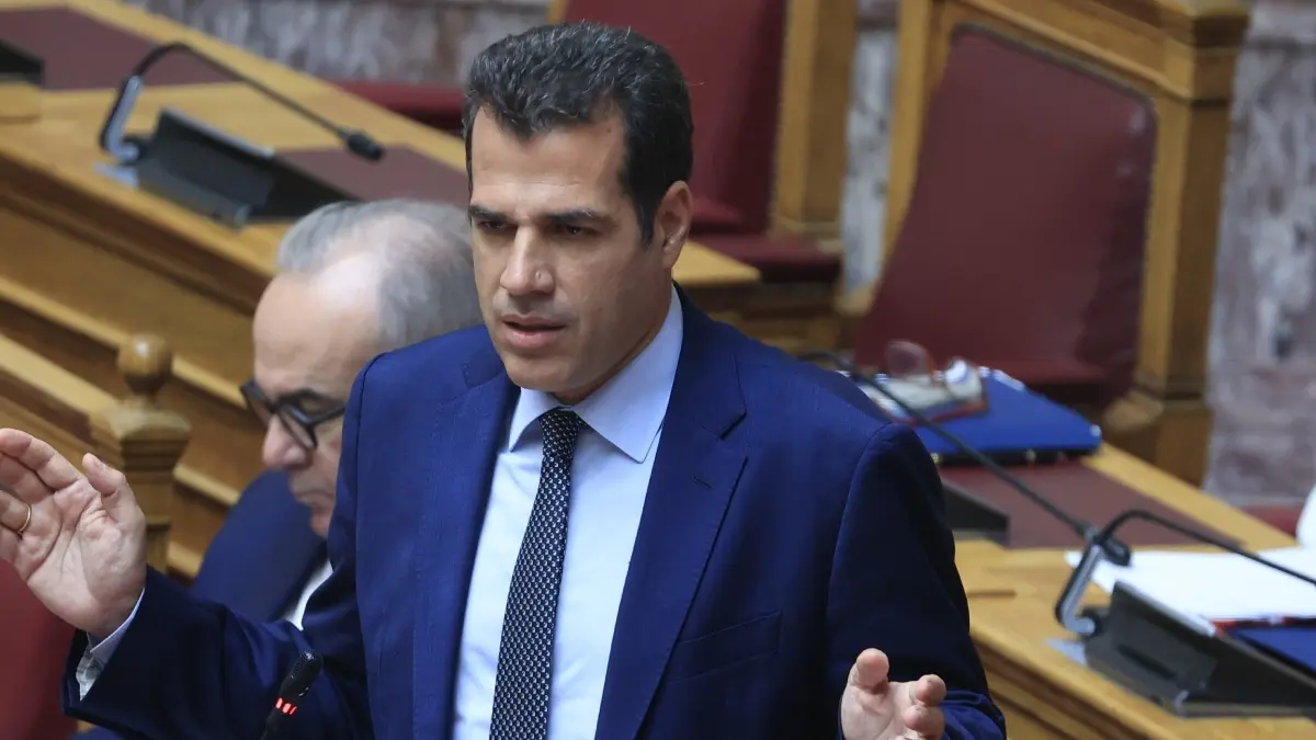 Πλεύρης σε ΜΚΟ για νομοσχέδιο νόμιμης μετανάστευσης – “Δεν ποινικοποιεί τη συμμετοχή των μελών τους”