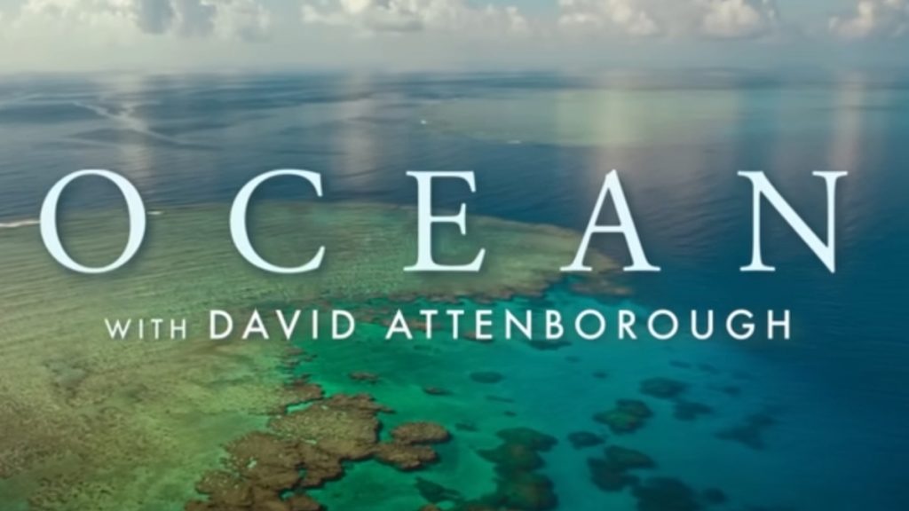Θαλάσσια Πάρκα: Το ντοκιμαντέρ “Ocean” που επικαλέστηκε ο πρωθυπουργός (βίντεο)