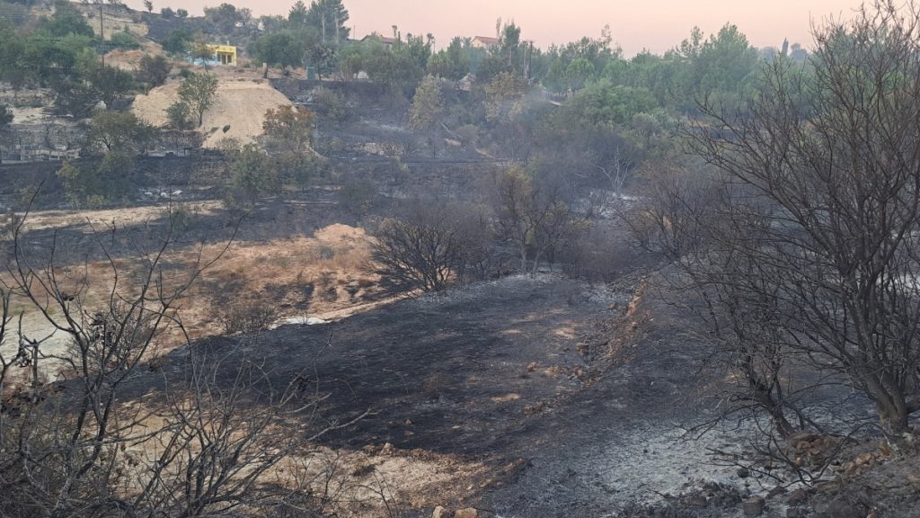 Εικόνες καταστροφής στη Λεμεσό: Καίει ανεξέλεγκτο το πύρινο μέτωπο στο Άρσος – Όλα δείχνουν εμπρησμό
