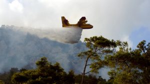 Υπό μερικό έλεγχο οι πυρκαγιές σε Μεσσηνία, Ιωάννινα και Αρχαία Ολυμπία