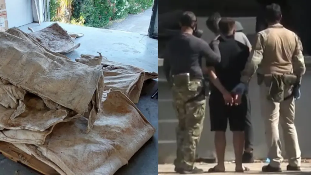 Βίντεο από την έφοδο του “ελληνικού FBI” στο “εργοστάσιο” κοκαΐνης στο Πικέρμι – Το κόλπο με τα δέρματα βοοειδών