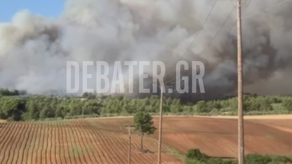 Φωτιά στο Ασπροχώρι Ωρωπού: Ήχησε το 112 – «Απομακρυνθείτε προς Εθνική Οδό Αθηνών – Λαμίας»