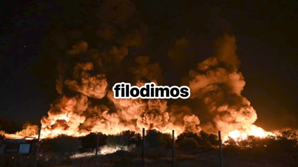 Αίγιο: Μεγάλη φωτιά σε εργοστάσιο με χαρτικά, μήνυμα από το 112 – “Κλείστε πόρτες και παράθυρα”