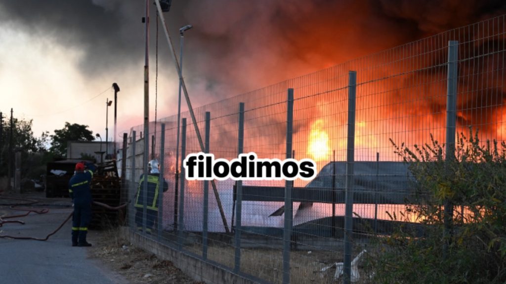 Αίγιο: Μεγάλη φωτιά σε εργοστάσιο με χαρτικά, μήνυμα από το 112 – “Κλείστε πόρτες και παράθυρα” (φωτογραφίες)