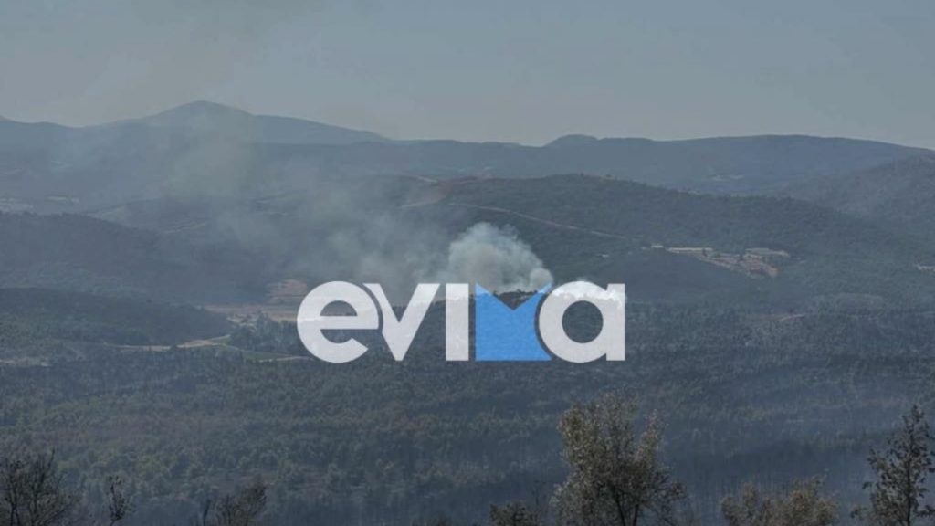 Αναζωπύρωση του μετώπου στην Εύβοια – Στο σημείο ισχυρές πυροσβεστικές δυνάμεις