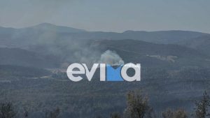 Αναζωπύρωση του μετώπου στην Εύβοια – Στο σημείο ισχυρές πυροσβεστικές δυνάμεις