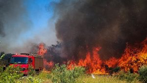 Φωτιά στο Αλιβέρι Εύβοιας: Ζημιές σε σπίτια, μπαράζ μηνυμάτων από το 112 για εκκενώσεις, συνελήφθη ένας ύποπτος (Βίντεο)