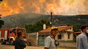 Φωτιά στον Φενεό Κορινθίας: Ολονύχτια μάχη με τις φλόγες – Προσήχθησαν δυο άτομα για την πυρκαγιά