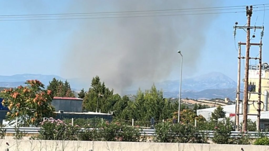 Φωτιά σε χαμηλή βλάστηση στο Δήλεσι Βοιωτίας