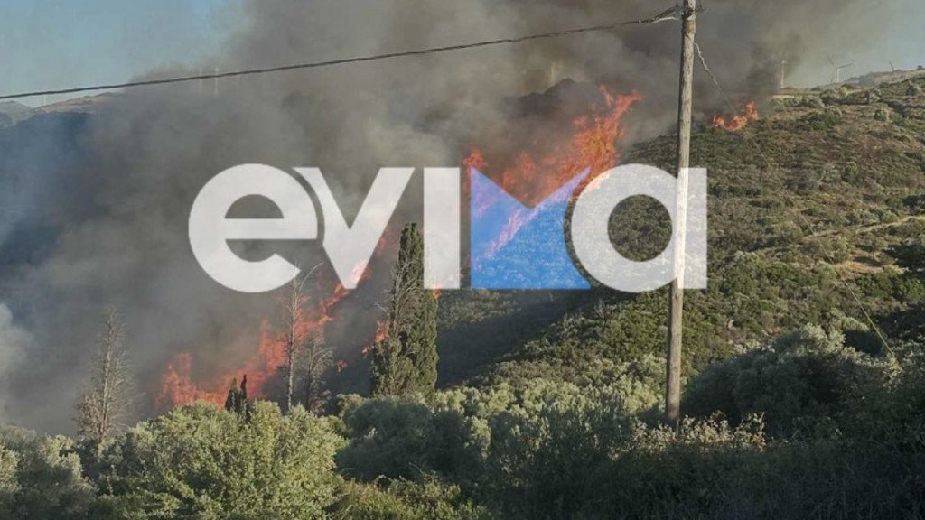 Φωτιά σε αγροτοδασική έκταση στα Μεσοχώρια Εύβοιας – Επιχειρούν 18 εναέρια μέσα (Βίντεο)