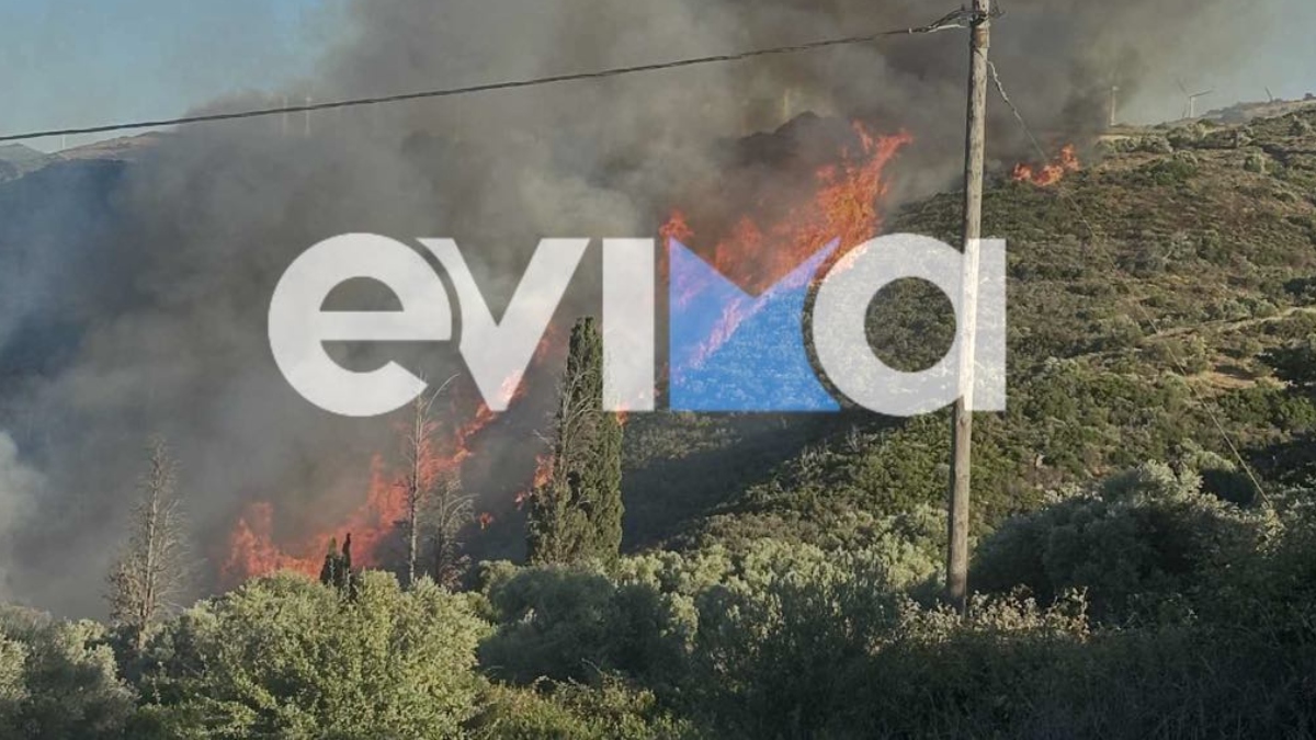 Φωτιά σε αγροτοδασική έκταση στα Μεσοχώρια Ευβοίας – Ήχησε το 112 για εκκένωση οικισμού (Βίντεο – Φωτογραφίες)