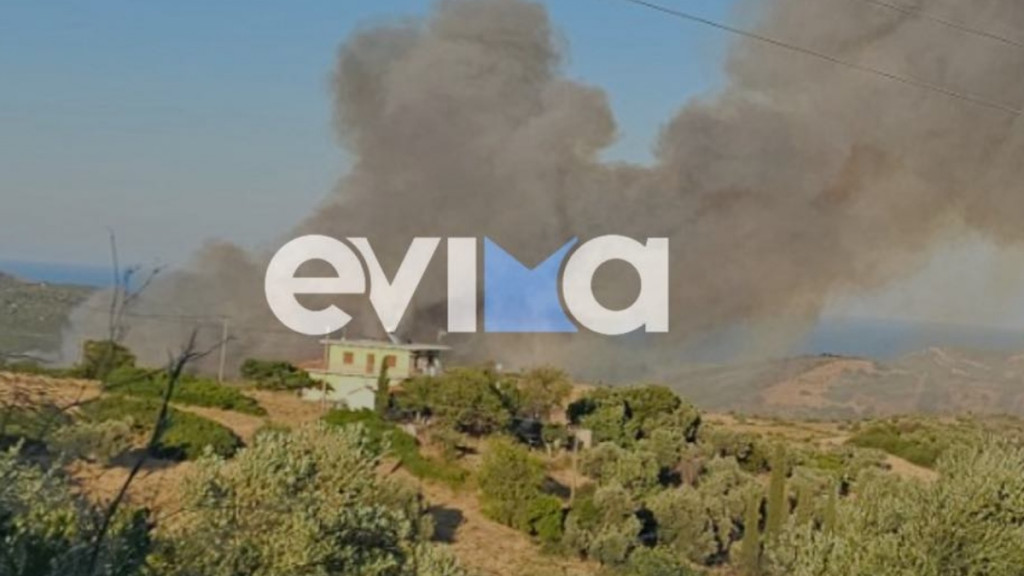 Σε ύφεση η φωτιά στην Εύβοια – Ξεκίνησαν να επιχειρούν τα εναέρια μέσα