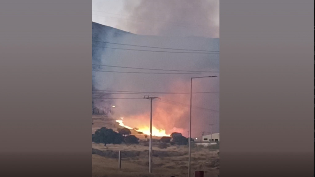 Φωτιά σε χαμηλή βλάστηση στη Φυλή κοντά στην Αττική Οδό