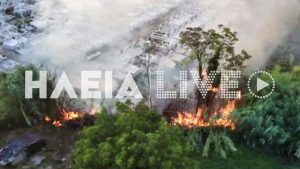 Φωτιά σε χαμηλή βλάστηση στην Ανδρίτσαινα Ηλείας