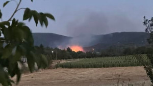 Φωτιά σε χορτολιβαδική έκταση στο Δογάνη Κιλκίς