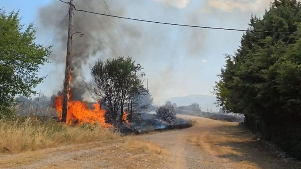 Σε ύφεση η φωτιά στην Κοζάνη: Εκκενώθηκε το πανεπιστήμιο Δυτικής Μακεδονία – Μπαράζ μηνυμάτων από το 112