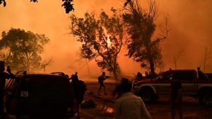 Σε πύρινο κλοιό η χώρα – Ολονύχτια μάχη με τις φλόγες σε Κρυονέρι, Μεσσηνία, Εύβοια, Κύθηρα, Χανιά (Βίντεο – Φωτογραφίες)