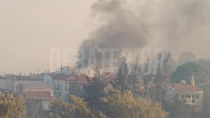 Φωτιά στο Κρυονέρι Αττικής: Πέντε άτομα στο νοσοκομείο – Κάηκαν σπίτια στην περιοχή (Βίντεο – Φωτογραφίες)