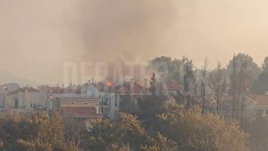 Φωτιά στην Αττική: Πύρινη λαίλαπα σε Κρυονέρι, Δροσοπηγή – Καίγονται σπίτια και μπαράζ μηνυμάτων του 112