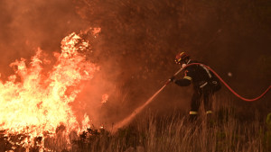 Συνελήφθη 72χρονος μελισσοκόμος για εμπρησμό από αμέλεια για την φωτιά στον Ωρωπό