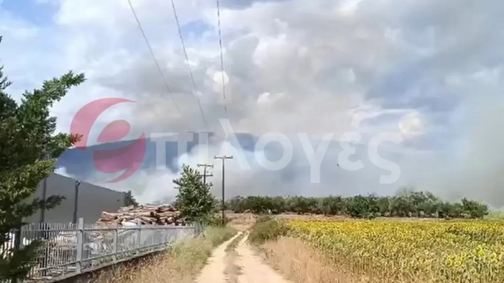 Φωτιά σε εργοστάσιο ξυλείας στις Σέρρες – Στη μάχη 35 πυροσβέστες (Βίντεο)