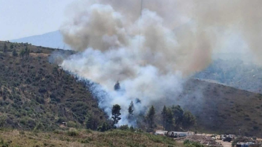 Φωτιά σε δασική έκταση στον Άγιο Στέφανο Αττικής – Επιχειρούν 4 εναέρια μέσα