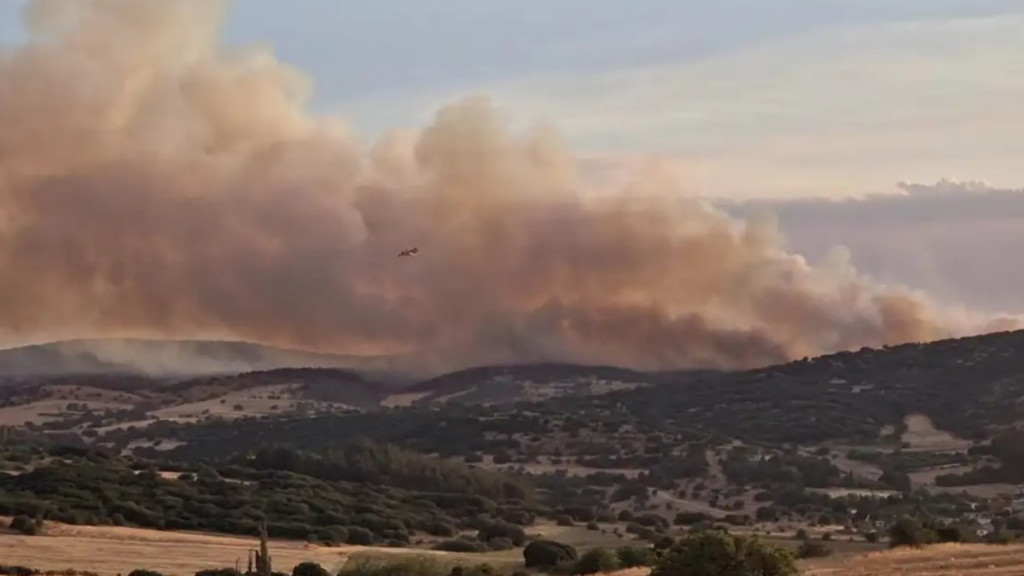 Θεσσαλονίκη: Σε ύφεση η φωτιά στο Ωραιόκαστρο – Ήχησε νωρίτερα το 112 (Bίντεο)
