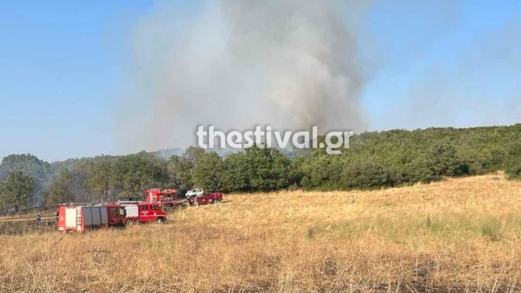 Φωτιά σε χαμηλή βλάστηση στον δήμο Πυλαίας Χορτιάτη Θεσσαλονίκης – Επιχειρούν 7 εναέρια μέσα – Ήχησε το 112