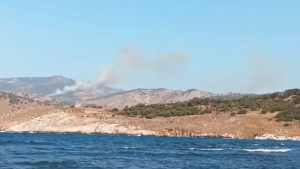 Φωτιά σε δασική έκταση στο Σκαλοχώρι Μυτιλήνης – Στη μάχη 4 εναέρια (Βίντεο)