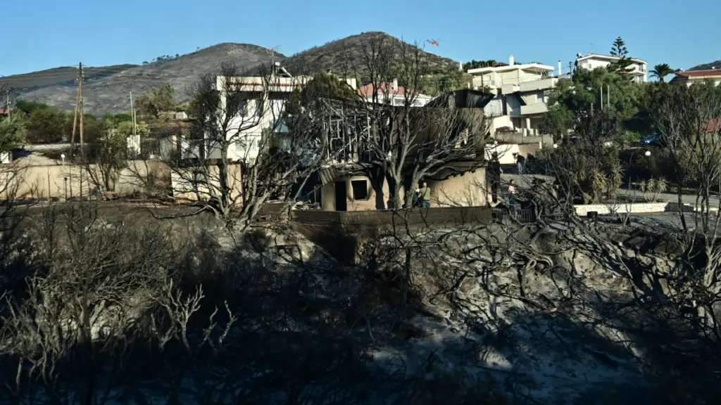 Δήμος Σαρωνικού: Την επόμενη εβδομάδα οι υπόλοιπες αυτοψίες για τις ζημιές από την φωτιά στο Θυμάρι