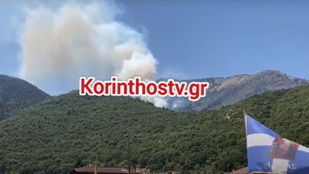 Μεγάλη αναζωπύρωση στην Λαύκα Κορινθίας – Επιχειρούν εναέρια μέσα (βίντεο)